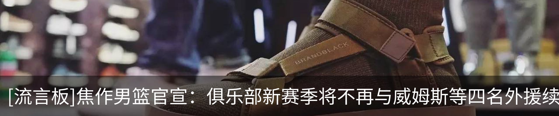 最新动态